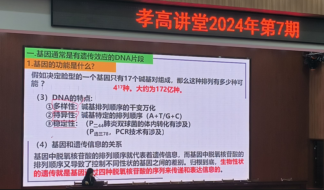 6746d02d6f814.png